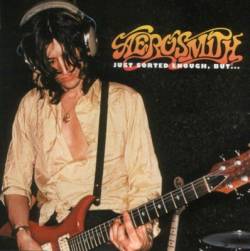 Aerosmith : Just Sorted Enough, but...